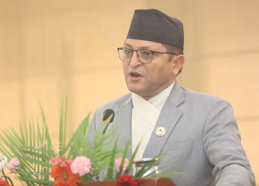 संवैधानिक आयोगको कामप्रति राष्ट्रिय सभा अध्यक्ष तिमिल्सिनाको असन्तुष्टि